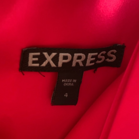 Express Rouched Two Tone Dress - Picture 4 of 4